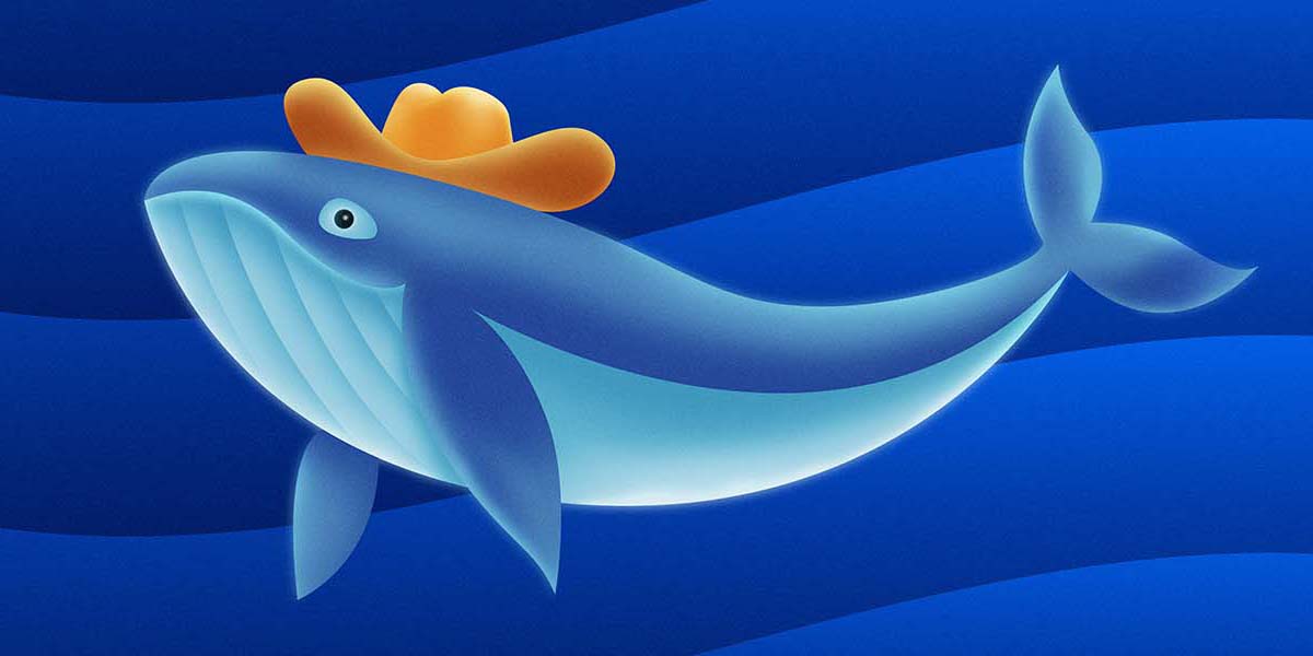 whale wearing a cowboy hat