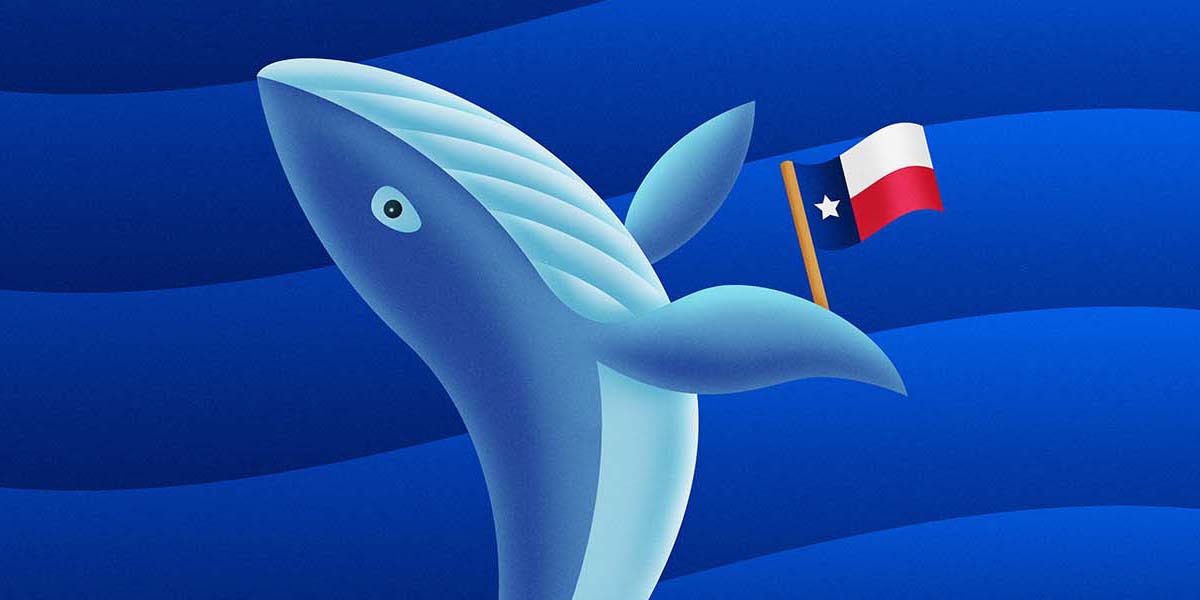 whale with texas flag